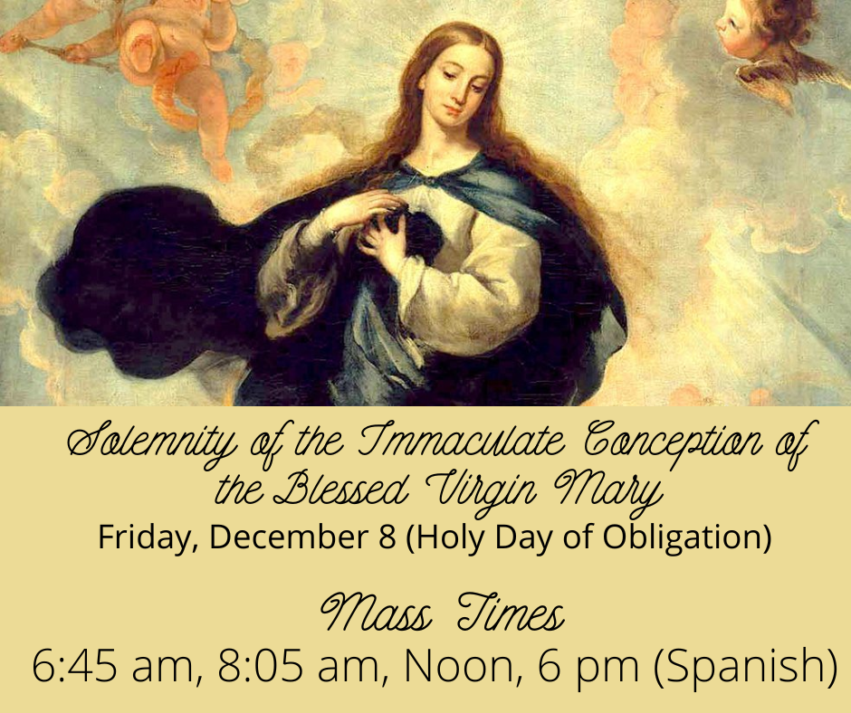 Feast of the Immaculate Conception of the Blessed Virgin Mary (Facebook Post)